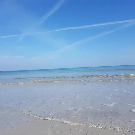 Il Melograno Cavallino di Lecce